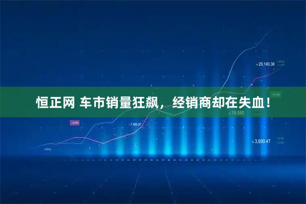 恒正网 车市销量狂飙，经销商却在失血！