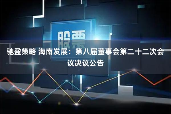 驰盈策略 海南发展：第八届董事会第二十二次会议决议公告