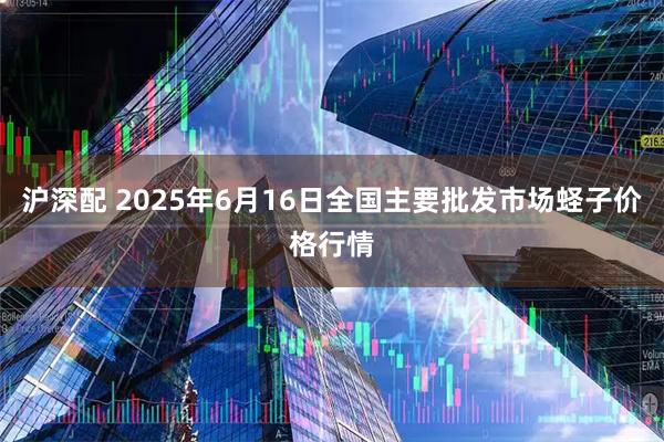 沪深配 2025年6月16日全国主要批发市场蛏子价格行情