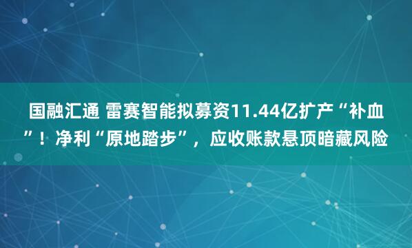国融汇通 雷赛智能拟募资11.44亿扩产“补血”！净利“原地踏步”，应收账款悬顶暗藏风险