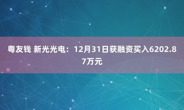 粤友钱 新光光电：12月31日获融资买入6202.87万元